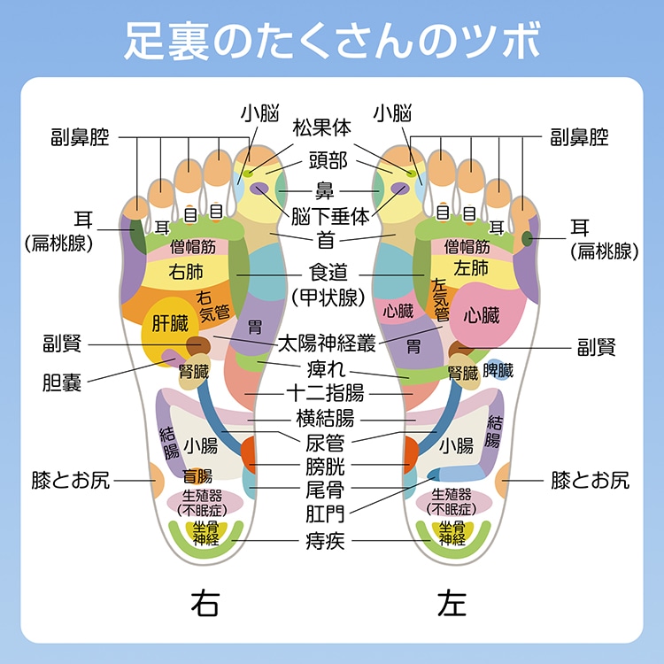 足つぼマット 足ツボマット 指圧ボード 55cm 円形 水洗い可能 磁石付き 滑りにくい フットマッサージ 足裏マッサージ フットケア 疲労軽減 ストレス解消 足痛み de166 - 画像 (7)